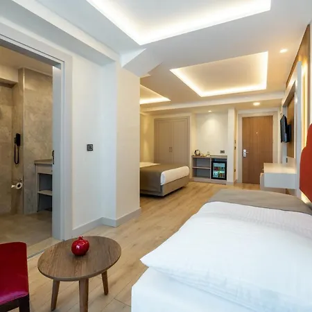 Hotel Carina Gold And Restaurant Istambul